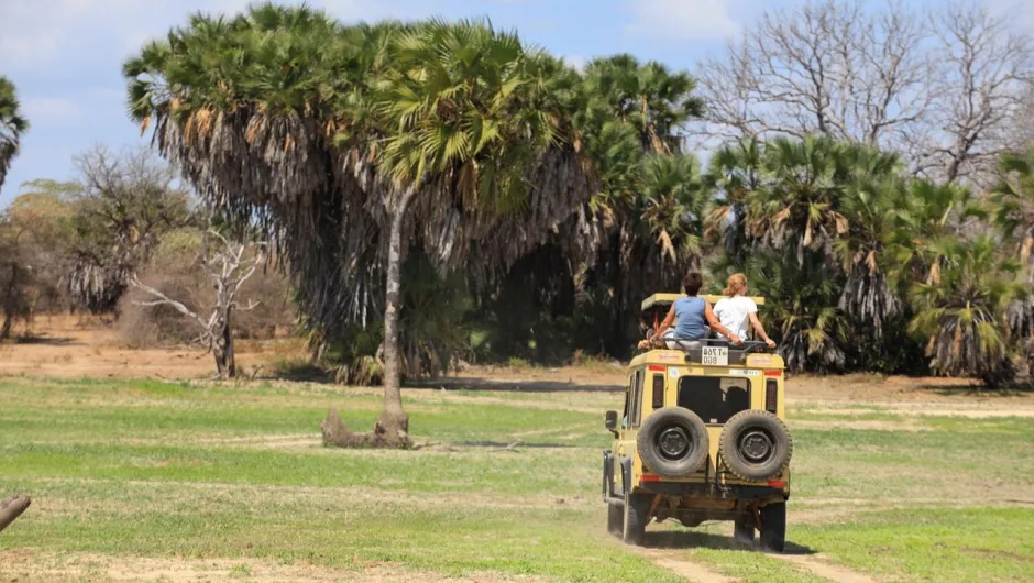 Safari in Tansania.