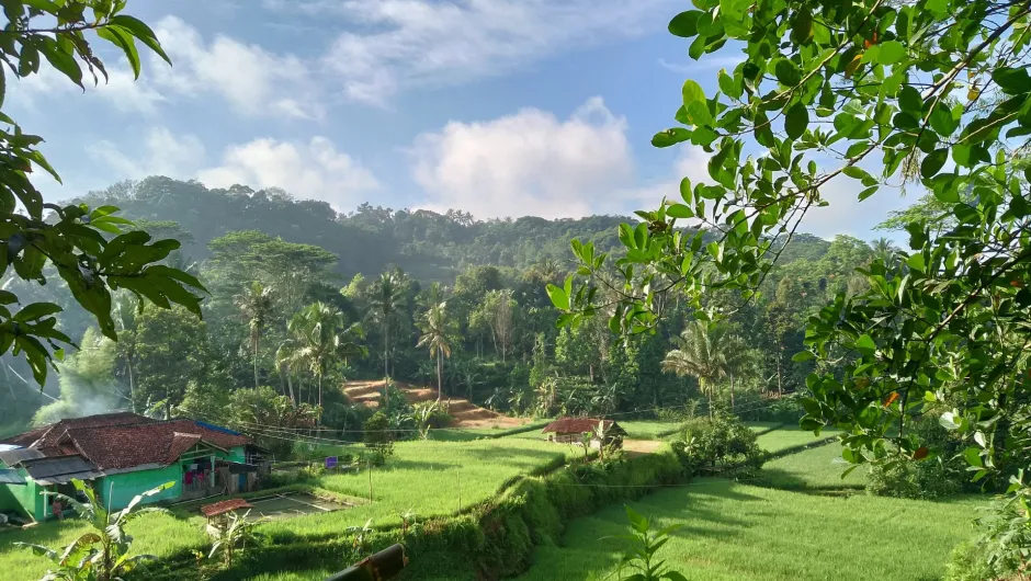 Informationen über Indonesien: Grüne Landschaft.