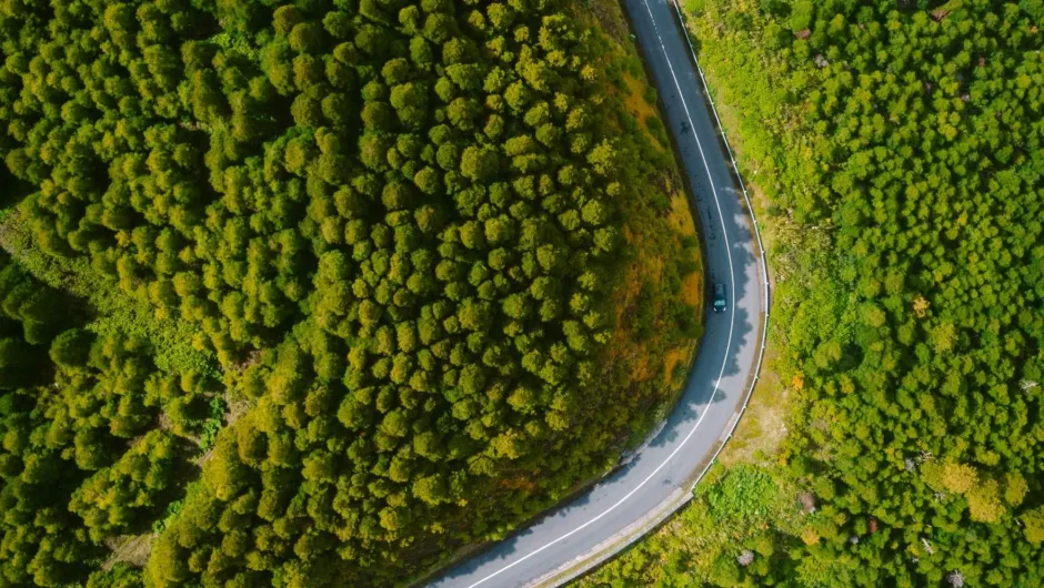 Auto fährt durch kurvige straßen.