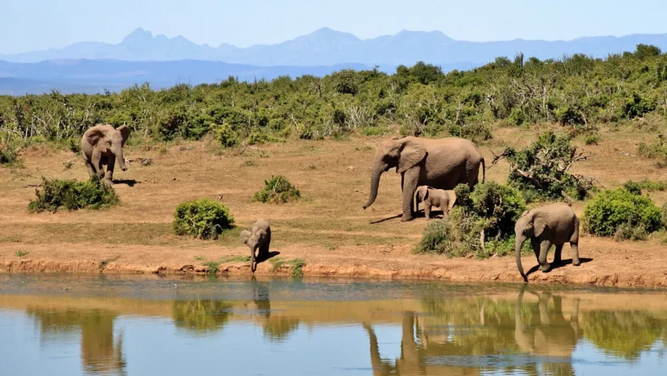 Südafrika Beste Reisezeit.