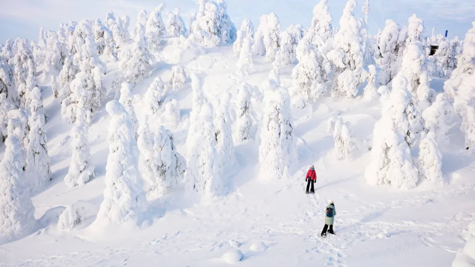 Zwei Personen gehen durch die verschneite Landschaft mit zahlreichen schneebedeckten Bäumen.