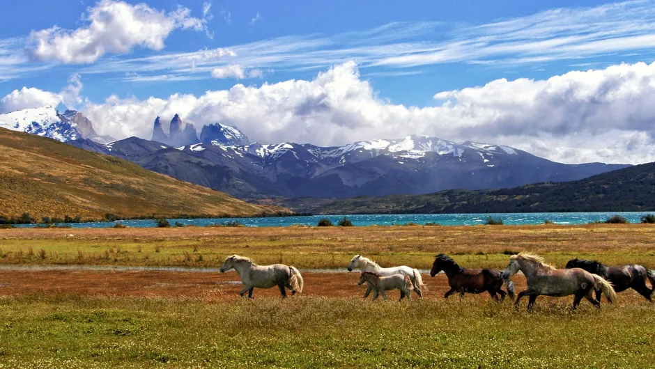 Wissenswertes über Chile.