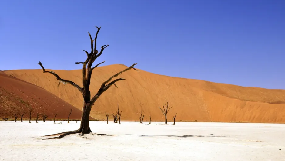 Wissenswertes über Namibia.