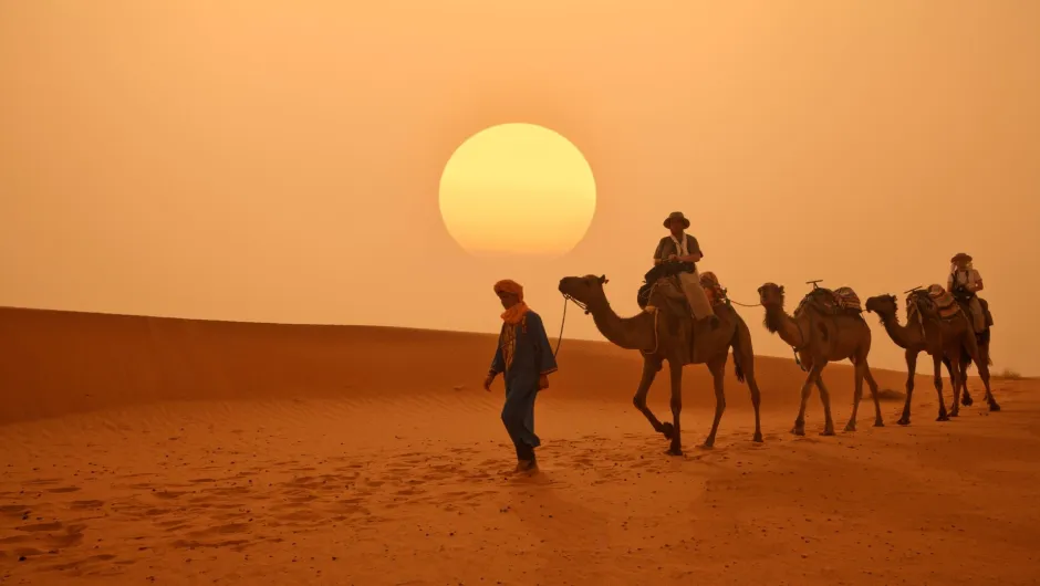 sonnenuntergang, Kameln Safari