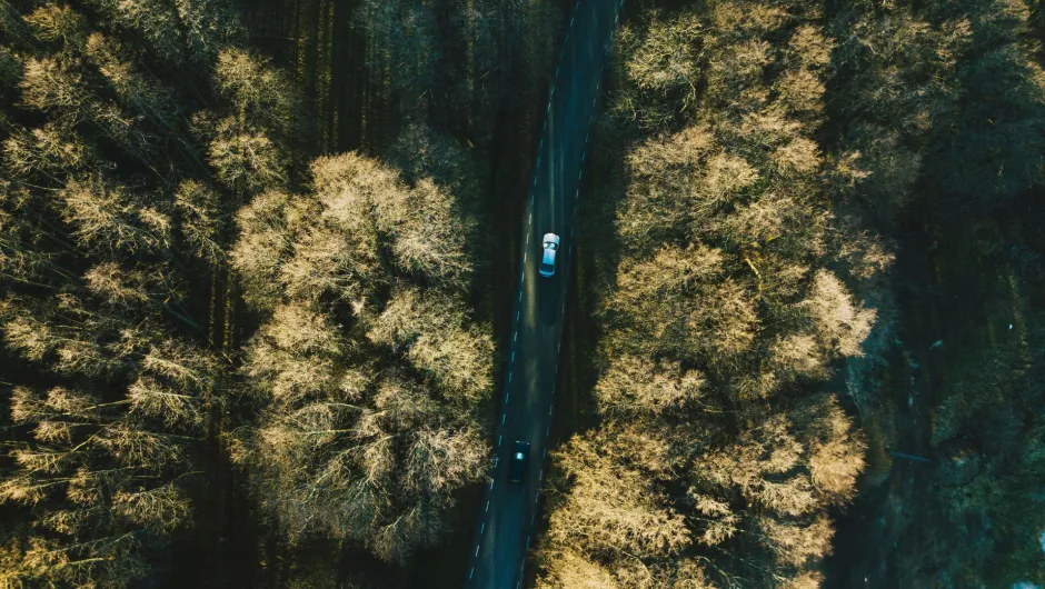 Luftaufnahme auf einen Wald mit Auto im Baltikum.
