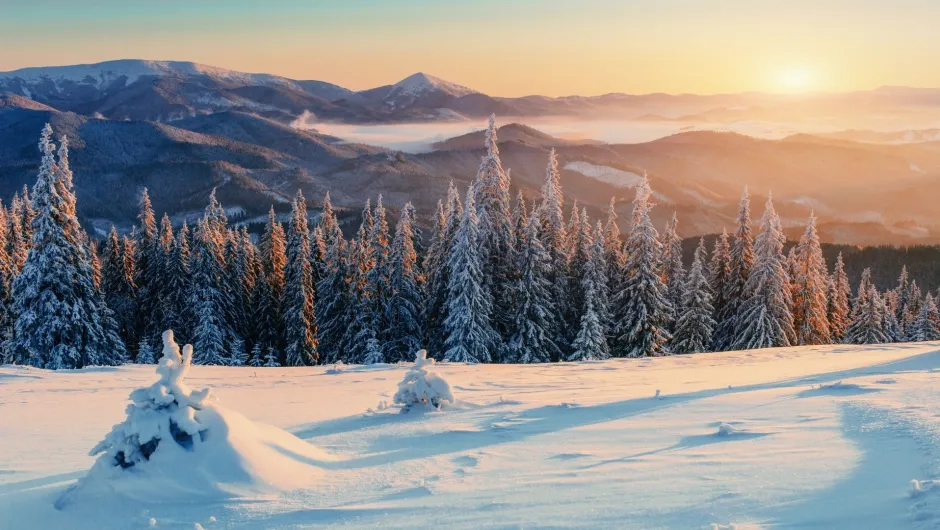winterurlaub rundreisen - schneeland im morgengrauen
