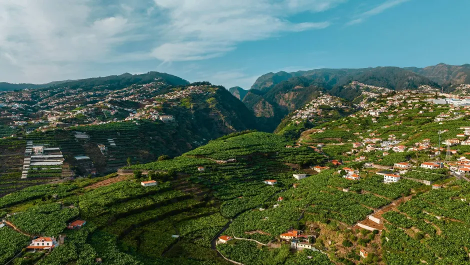 Blick auf die grünen Berge Madeiras, durchzogen von Häusern, die sich malerisch an die Hänge schmiegen.