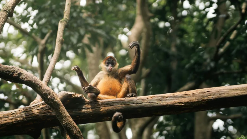 Costa Rica mit Kindern.
