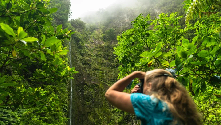 Eine Frau fotografiert eine grüne Bergwand, dicht bewachsen mit Blättern, aus der ein kleiner Wasserstrahl fließt.