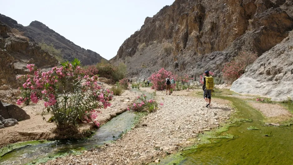 Sicherheit in Jordanien: Ein Wanderer in der Natur Jordaniens.