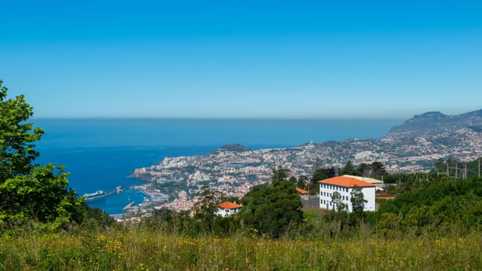 Aktivitäten auf Madeira: Ausblick auf eine bunte Stadt auf Madeira mit strahlend blauem Himmel und Meer.