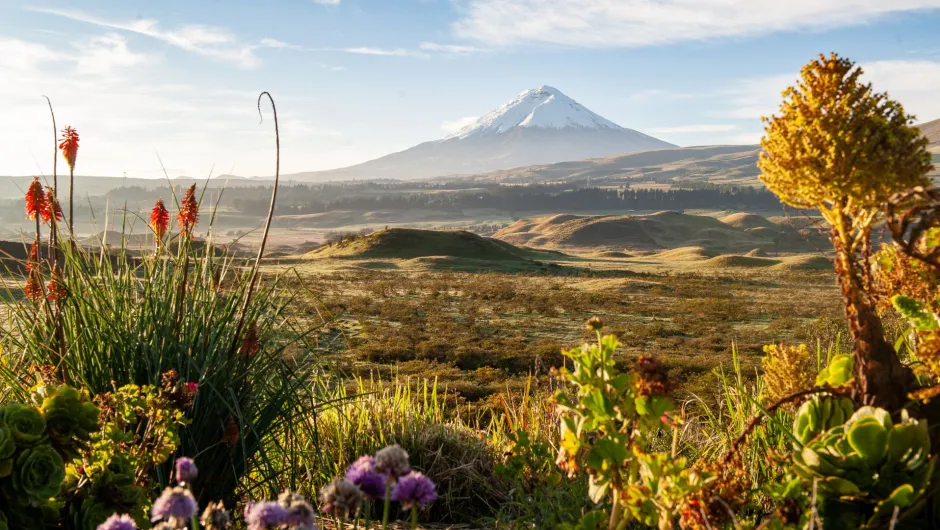 Individualreise Ecuador.