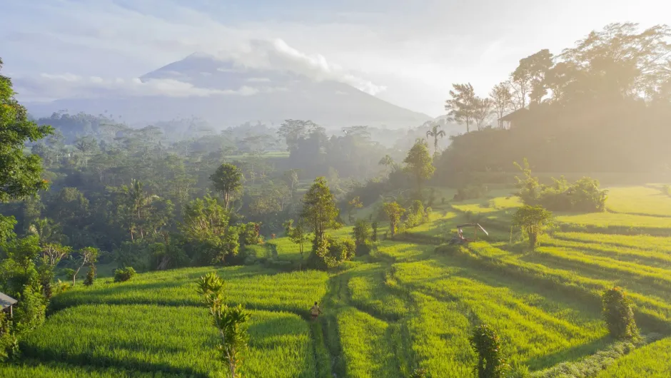 Indonesien mit Kindern.