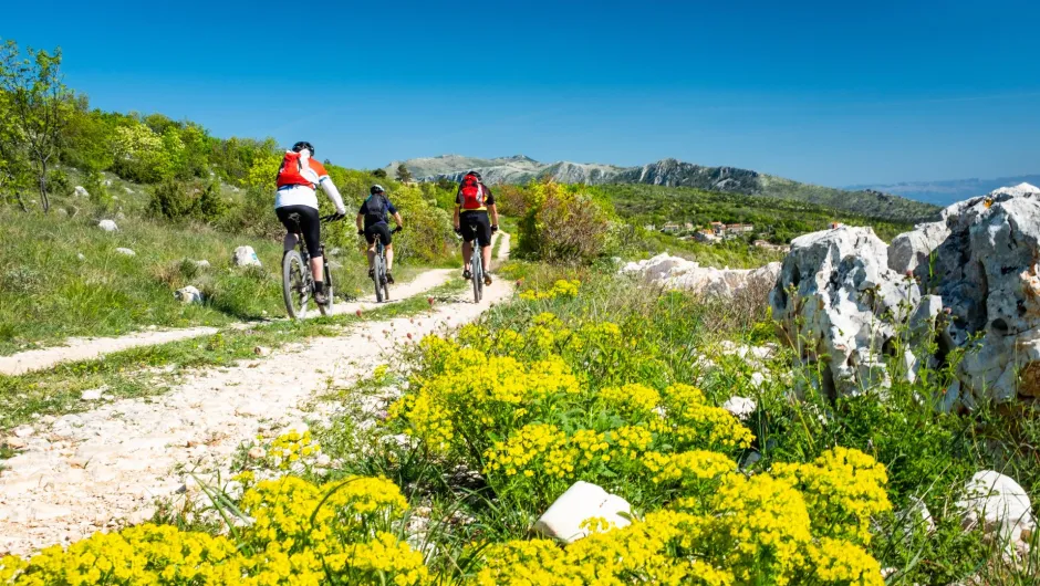 Kroatien Aktivitäten.