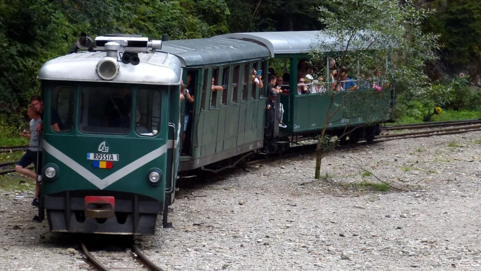 Ein kleiner grüner Zug mit offenen Waggons fährt durch eine bewaldete Landschaft, während zahlreiche Fahrgäste aus den Fenstern schauen.