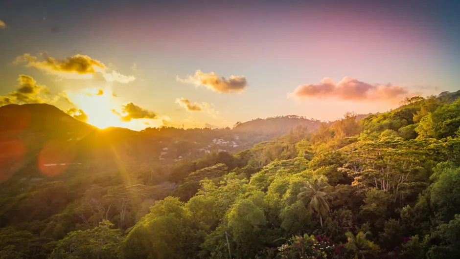 Warmer Urlaub im Dezember