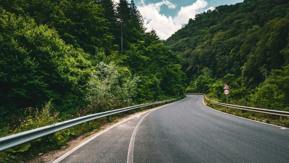 Kurvige Landstraße durch dichten grünen Wald in Bulgarien mit Leitplanken und Verkehrsschild.