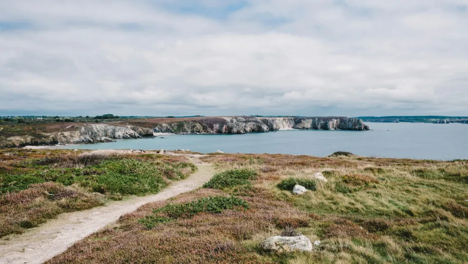 Küstenlandschaft mit Wanderweg durch Heide und Gras, der zu einer Bucht mit steilen Felsen am Meer führt.