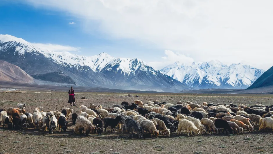 Ladakh und Nordostindien Reisen.