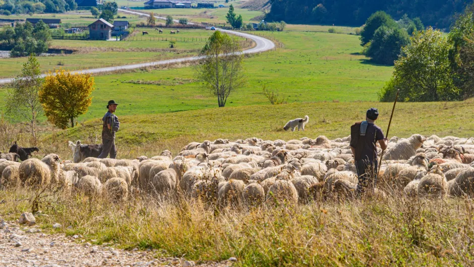 Regenerativer Tourismus