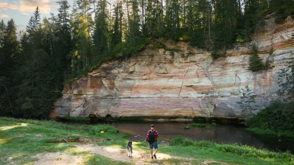 Ein Mann wandert mit seinem Hund entlang einer Klippe in einem Wald.