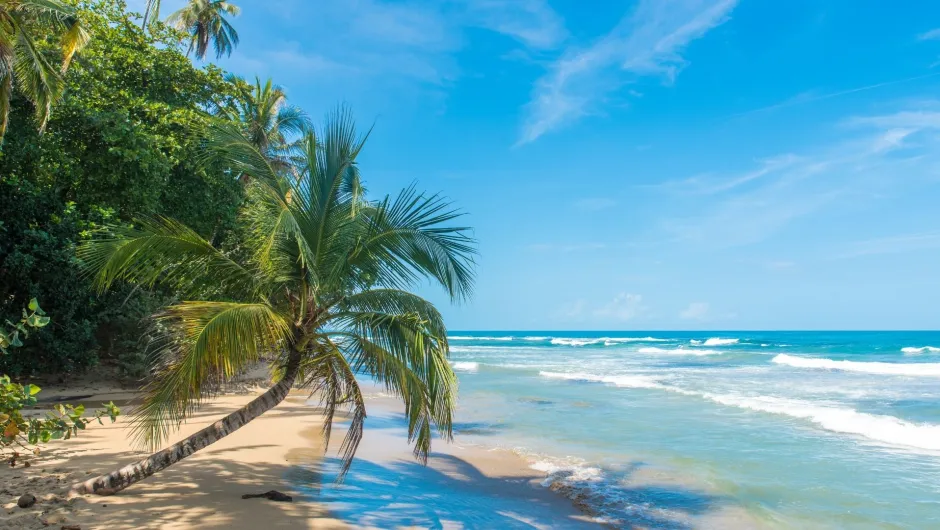 Costa Rica Reisen.