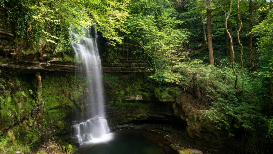 Ein Wasserfall in einem irischen Wald.