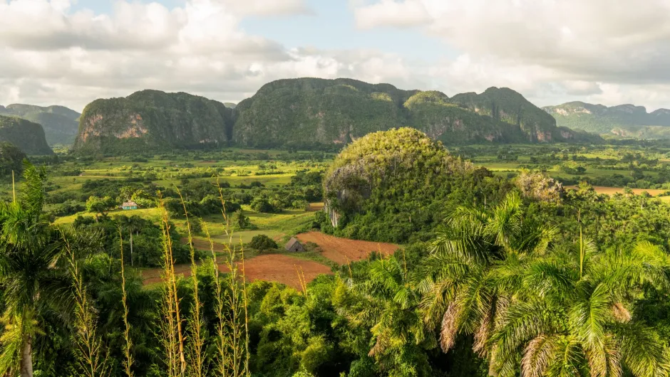Grüne Tallandschaft mit Palmen, Feldern und markanten Kalksteinbergen im Hintergrund, vermutlich im Viñales-Tal auf Kuba.