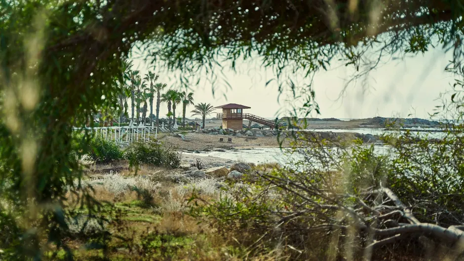 **Alt-Text:** Blick durch Bäume und trockenes Küstengebüsch auf einen mediterranen Strand mit Palmen, Liegestühlen, einem hölzernen Rettungsturm und felsiger Küste am Meer.