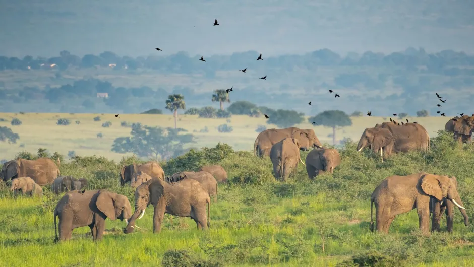 Nachhaltige Uganda Reise.