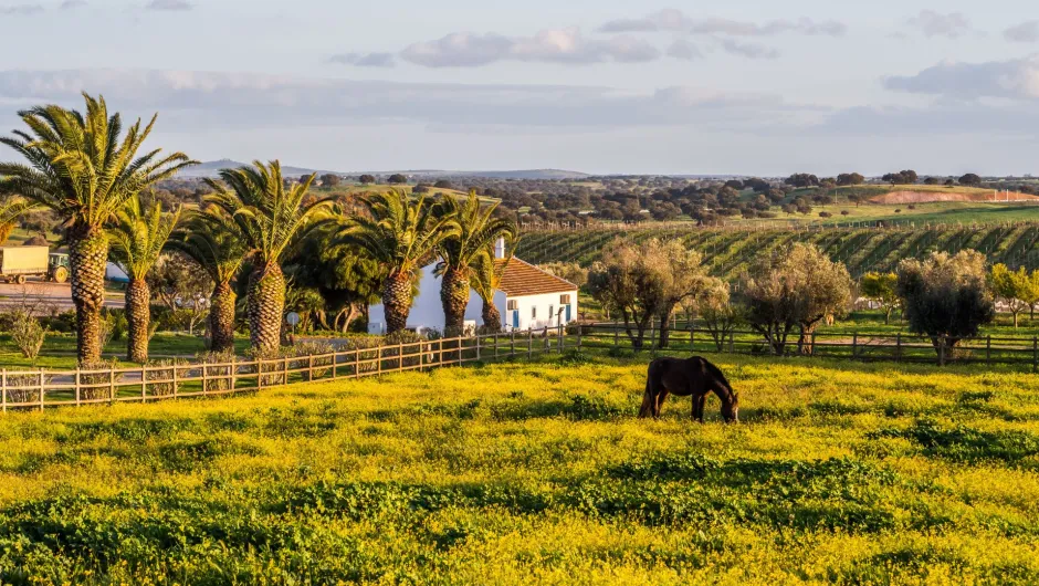 Alentejo Rundreise.