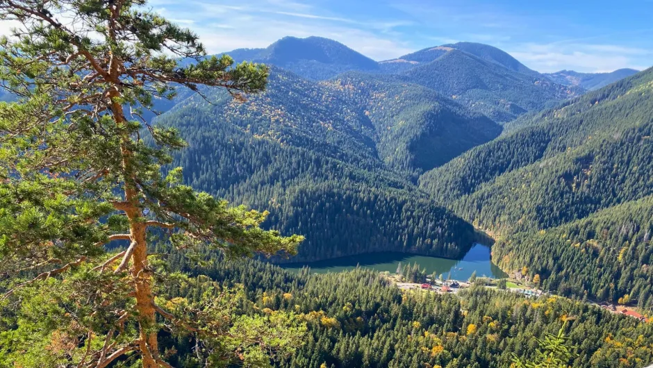 Blauer See inmitten von hohen, mit Wäldern bedeckten Bergen in Zypern.