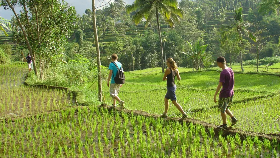 Indonesien Familienreise.