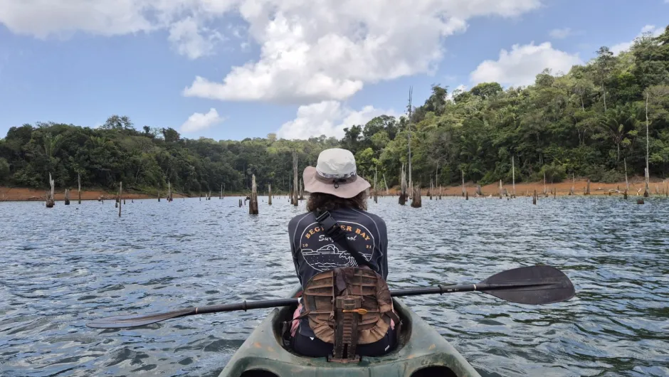 Suriname Urlaub Erfahrungen.