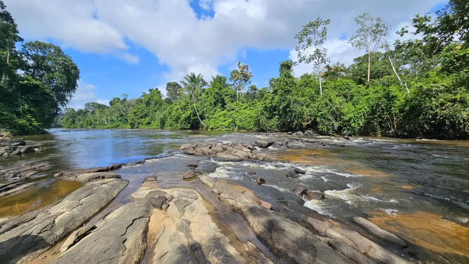 Suriname Dschungel Reisebericht