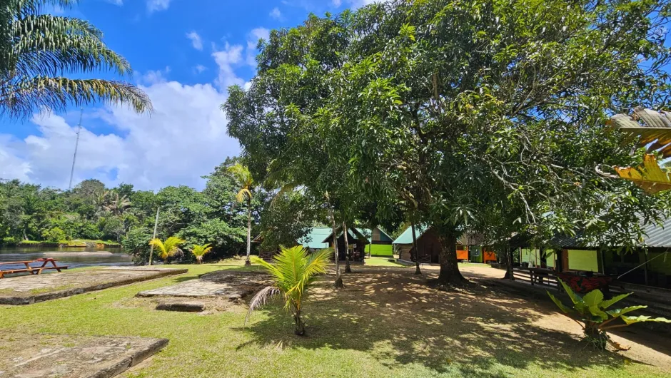 Suriname Reise Gründe 