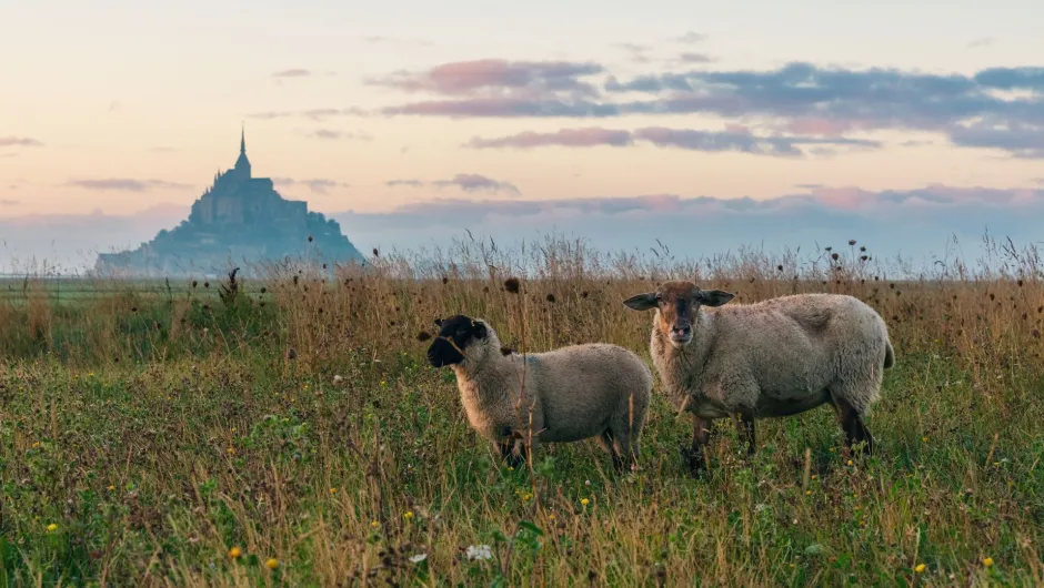 Normandie Reisen.