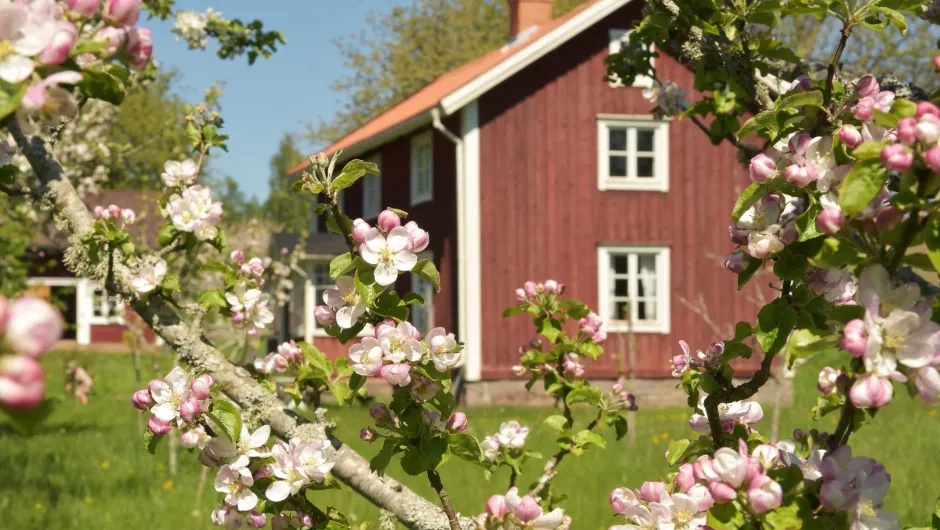Schweden Familienurlaub