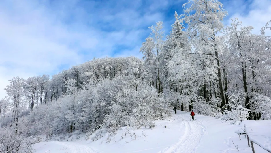 Schweden im Winter