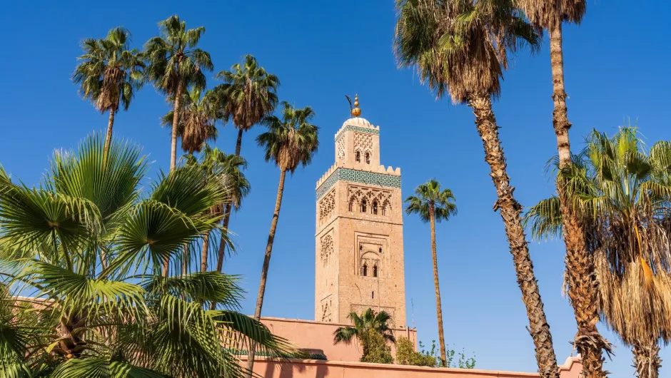 Blick auf das imposante Minarett der Koutoubia-Moschee in Marrakesch, Marokko. Der kunstvoll verzierte Turm aus rötlichem Sandstein erhebt sich zwischen zahlreichen hohen Palmen. Grüne Palmwedel rahmen die historische Architektur vor einem strahlend blauen, wolkenlosen Himmel ein.