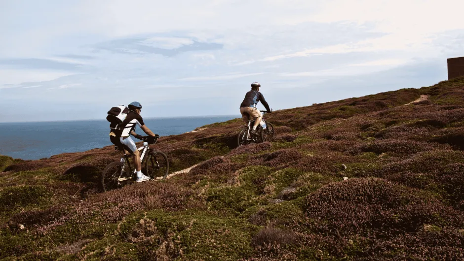 Zwei Mountainbiker fahren auf einem schmalen Weg durch eine hügelige Heidelandschaft an der Küste. Links ist das Meer zu sehen, darüber ein weitgehend bewölkter Himmel.