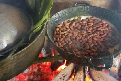 Costa Rica vakantie Bribri cacao roosteren