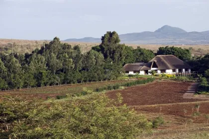 Blick auf das Farmhouse in der Nähe des Ngorongoro Kraters