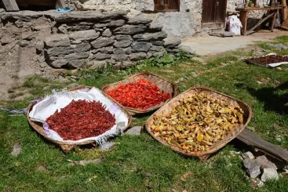 Bunt gemischte Gewürzkörbe in Bhutan