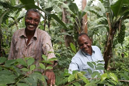 Besuche einer Kaffeeplantage in Tansania