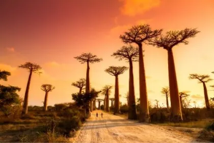 Reisen nach Madagaskar