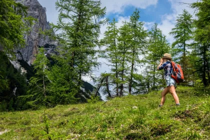 Um den Bohinjer See wandern