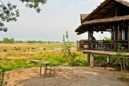 In Nepal befindet sich die Chitwan Spana Village Lodge
