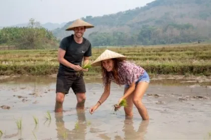 Eine Frau und ein Mann stehen im Reisfeld in Laos und pflanzen Reis
