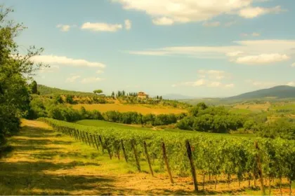 Blick auf ein Weingut in Italien